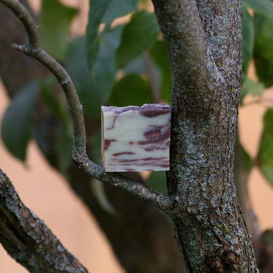 ROSEMARY + FIG LEAF birthday bar soap