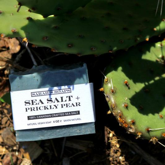 SEA SALT + PRICKLY PEAR bar soap