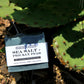 SEA SALT + PRICKLY PEAR bar soap