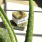 ALOE VERA + MINT bar soap